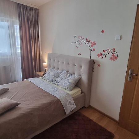 Park Residence Slănic-Moldova エクステリア 写真